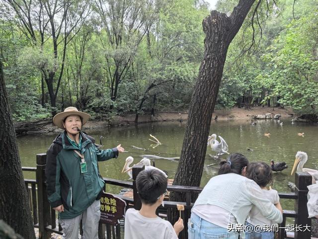 国庆我在岗丨以安全优质服务践行“温暖泉城，爱在济野”