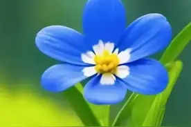 正确解读《悟真篇》图片