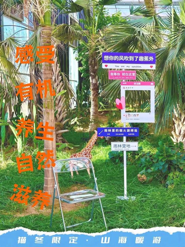 冬游山海天，全攻略来了！