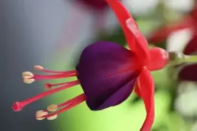 人，心态好，一切就好！图片