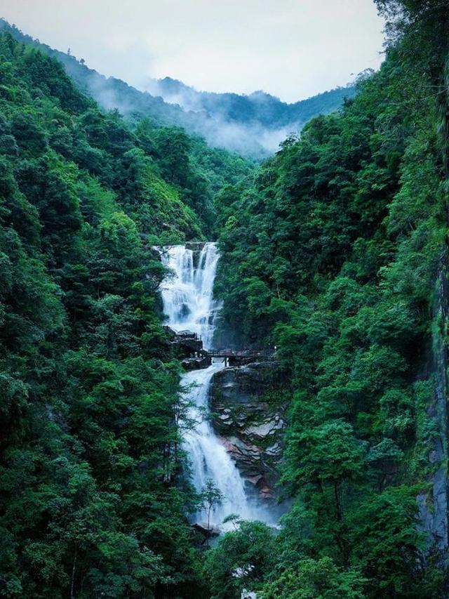 解锁夏日“亲水凉方” 武夷山以山水为媒激发水旅动能