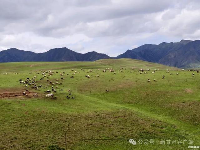 侧耳听陇！听见甘肃的心跳