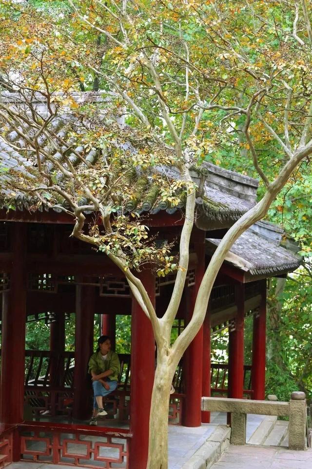 秋韵正当时，放慢脚步，来皇泽寺与千佛崖走一走~