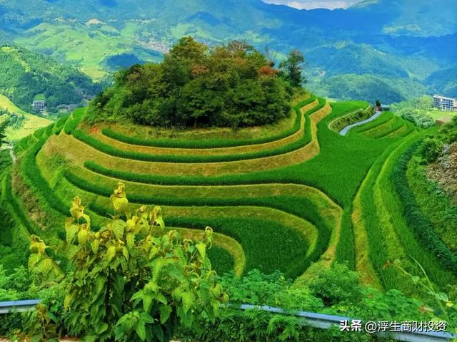 9月旅行爽翻了！避开人潮的10个宝藏地，从金黄草原到桂香园林…