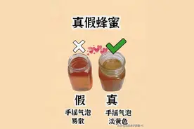 真假蜂蜜如何辨别图片