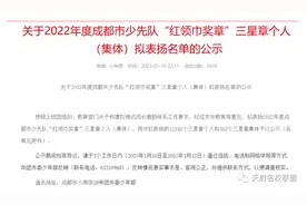 新手家长不懂，高年级追悔莫及的红领巾星章，含金量到底有多高？图片