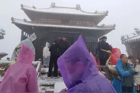 十堰桃花雪今天很出圈图片