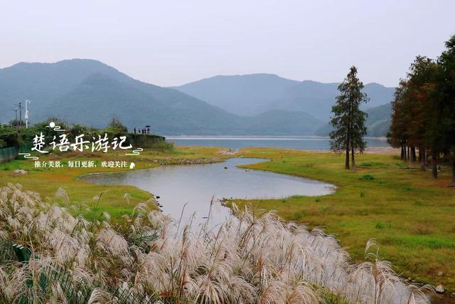 宁波这个新“阿泰勒”火了，游客络绎不绝，每人看了都会惊叹一声