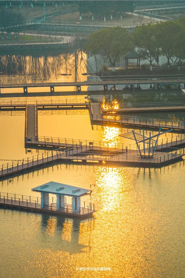 武汉高空观景台+1！汉阳龟山知音殿，今起开放体验