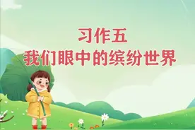 三年级语文上册，第五单元《我们眼中的缤纷世界》习作范文10篇图片