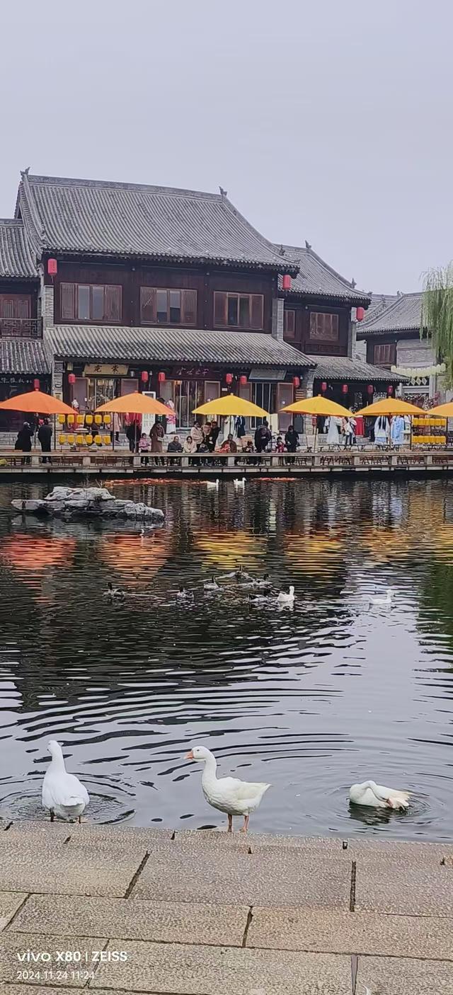 雨中寻洛邑：一座古城的千年回响