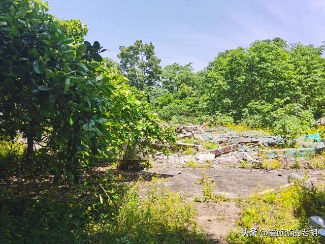 投资1100万元，浏阳河最大岛屿或将建成特色公园，重新对游客开放