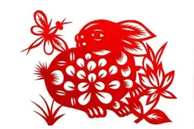 属兔和谁在一起最幸福简直天生一对爱似鸳鸯！晚年不离不弃不缺钱图片