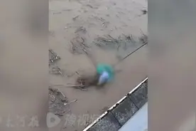 揪心！大儿摔倒母亲去扶，次子乘婴儿车滑入水中？被抄网捞起的落水男童最新情况→图片