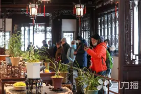 苏州：春兰的美 沧浪亭最懂图片