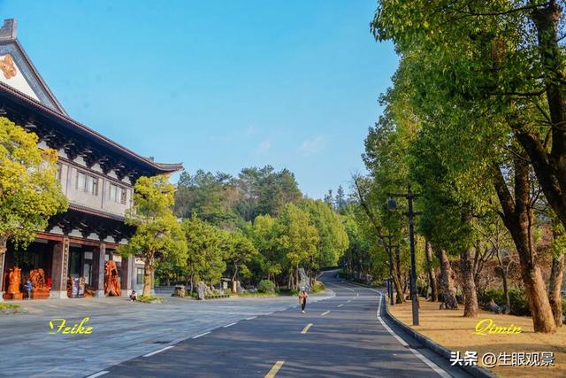 影记 | 衢州根雕艺术之都——根宫佛国(上)