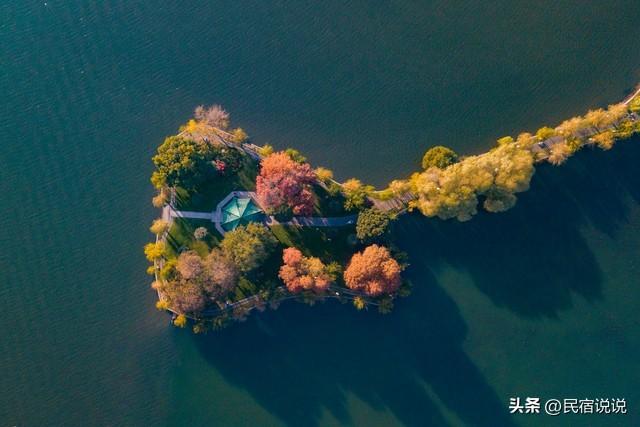 武汉不止这五千亩红叶，最大赏秋地绝了！