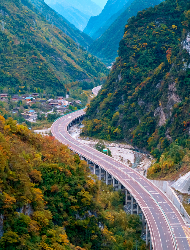 走不出这画了，我已被平武的彩林迷倒！