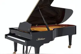 钢琴品牌鄙视链：国产、日系、欧洲琴到底差在哪？图片