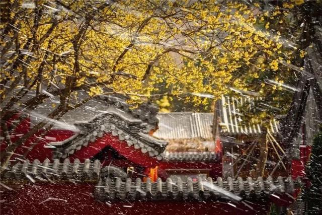 快看！从哈尔滨的冰雕里，挖出了整个真·泰安！