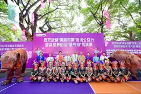 真爽！莱昂杯街头曼气排展演赛 让街头气排球出圈图片