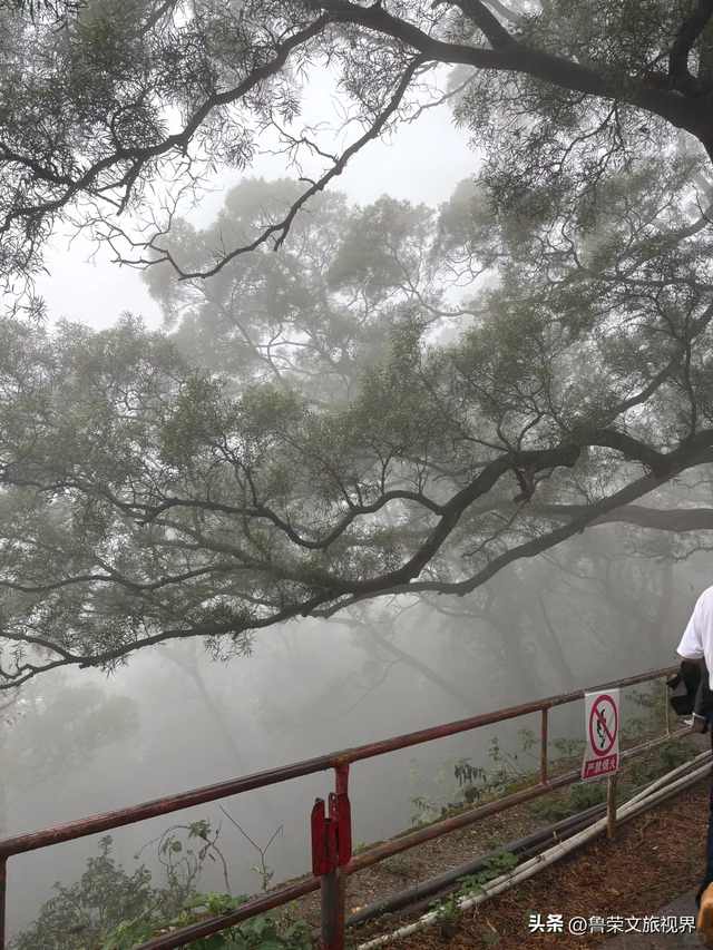 隐匿在广东的冬日秘境：恩平，一座20℃暖冬里的温柔小城