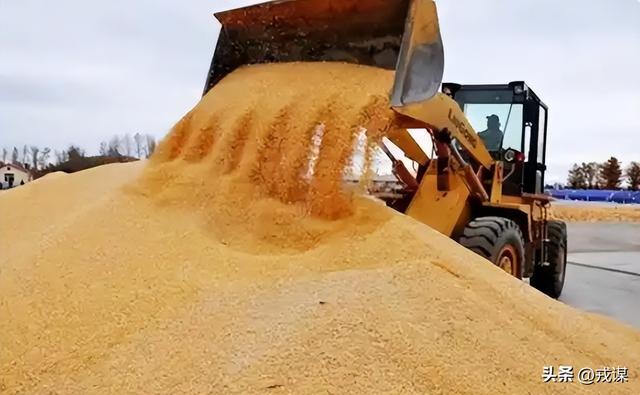 比丢导弹还危险？间谍在我国偷亲本种子，真能卡中国饭碗脖子！