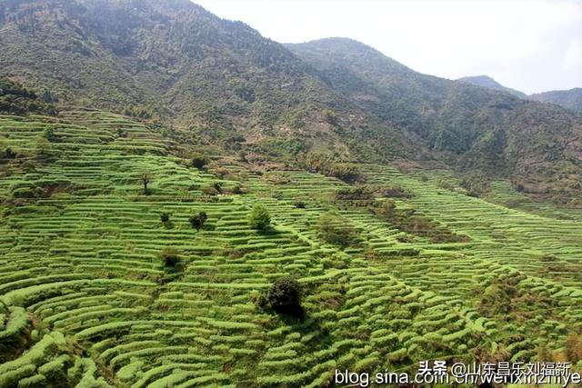 婺源篁岭旅游札记[三]（江西之旅第四十五篇）