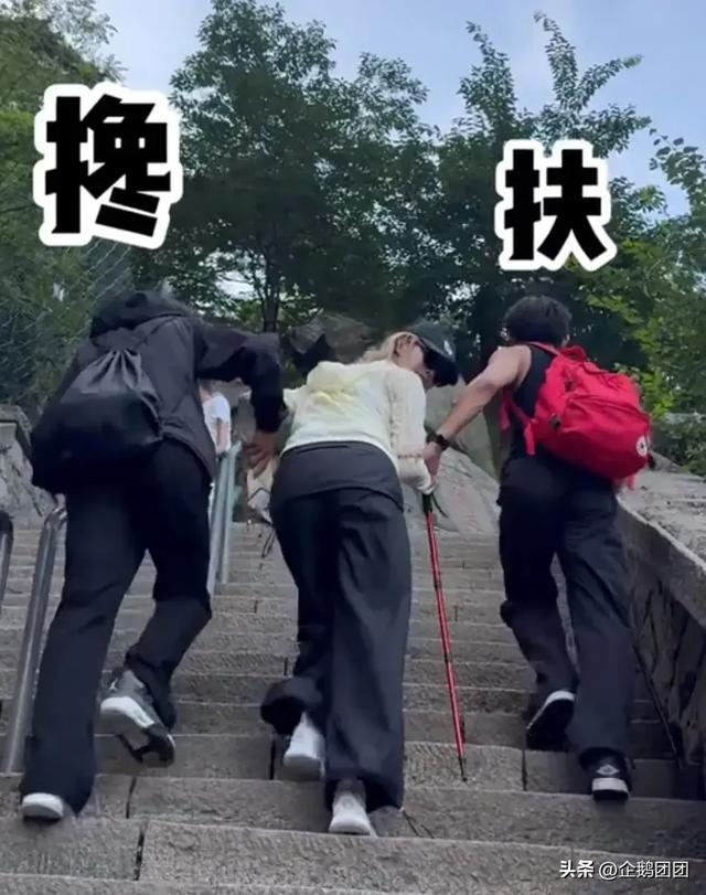 两位小姐姐花3万请24人爬泰山，竟有19人在哄娃！天价陪爬值吗？
