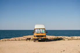 什么是领导力？这就是答案图片