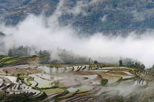 3月份最适合去的10个地方，有没有车也要去一趟，你去过几个？