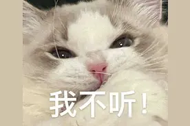 笑话十条：晚上十点多了，闺蜜发微信让我去撸串图片