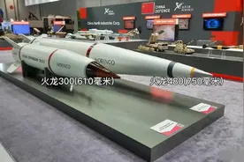 中国的“白菜化”多恐怖？用相控阵雷达制导，火箭弹精度超过导弹图片