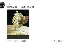 在郑州，吃到了四季的第一口鲜！图片