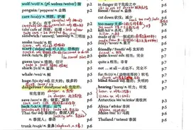 七年级下册英语单词笔记图片