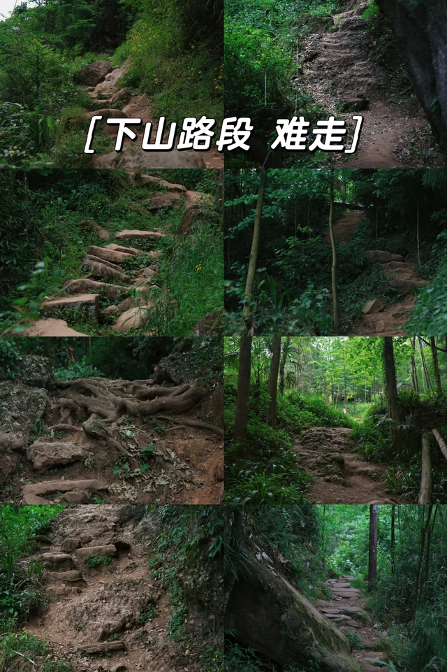 被追问无数次的都江堰徒步玩水宝藏地，免费、1.5h可达！