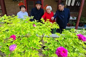 “陪嫁牡丹”三代传承 百岁老人精心呵护图片