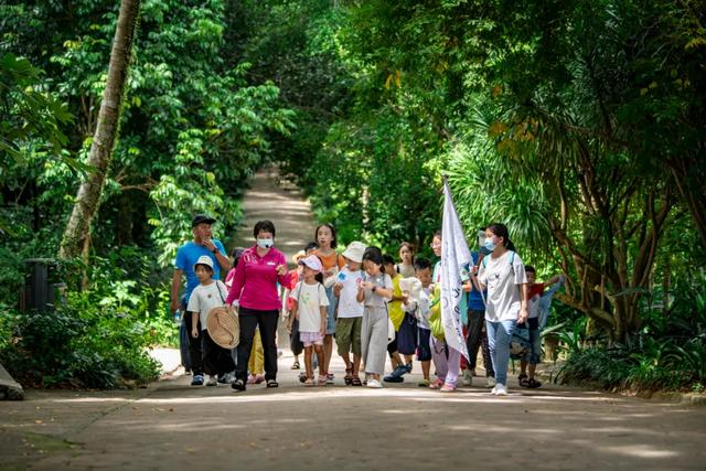 三场大赛嗨到年底！跟着冲浪赛游万宁，在暖冬里重温夏日