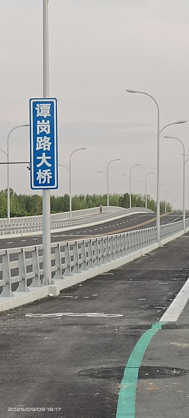 谭岗路大桥风景如画，可惜尚未放行