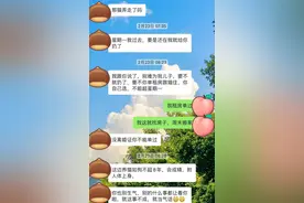 怀孕12周婆婆说要把我的猫扔了图片