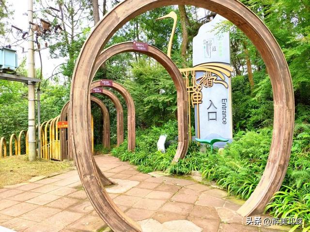 深秋想赴一场“森”系约会？来邛崃就够了！