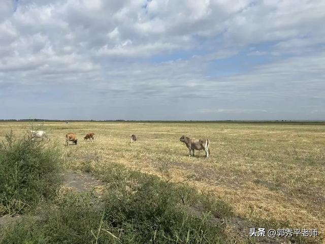 为什么我们占据着空间，却没有空间观念？