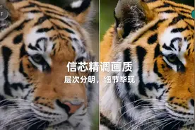 海信系百吋电视累计销量占比40.16%，行业第一！图片