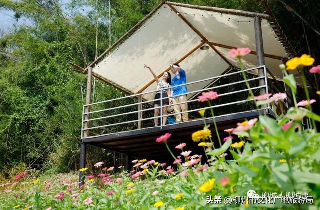 行至江畔过过山水慢生活吧！这次是文化旅游产业发展大会主办地——柳城