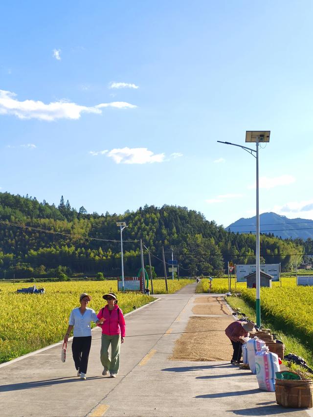 自驾邵武和平古镇三日游(十四) 2025·9·25-27