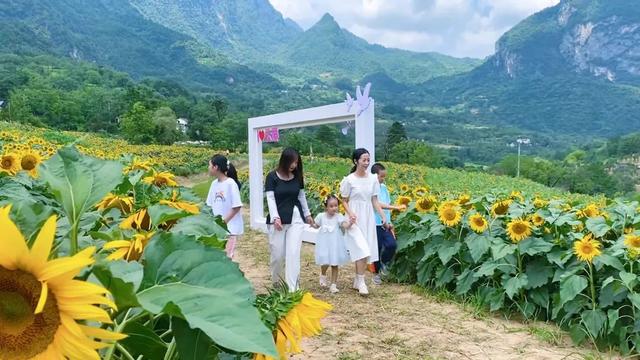 云屏迎来暑期旅游热，多家爆满～订房还要再等几天