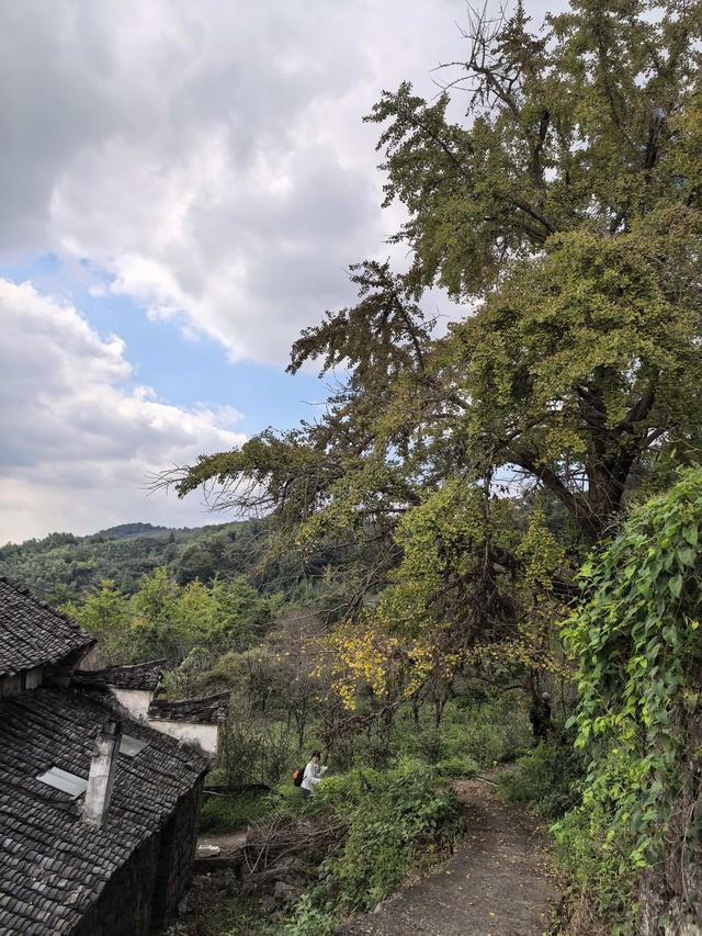 霜降时节，柿林村徒步