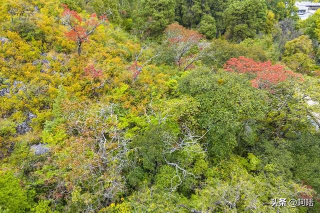 丽江的最美秋色九鼎龙潭，但位置隐秘，大部分游客都视而不见