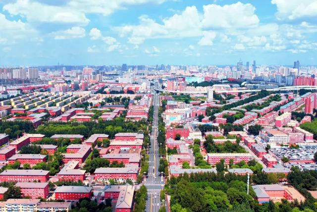 雪季南来客 向北寻“汽”质