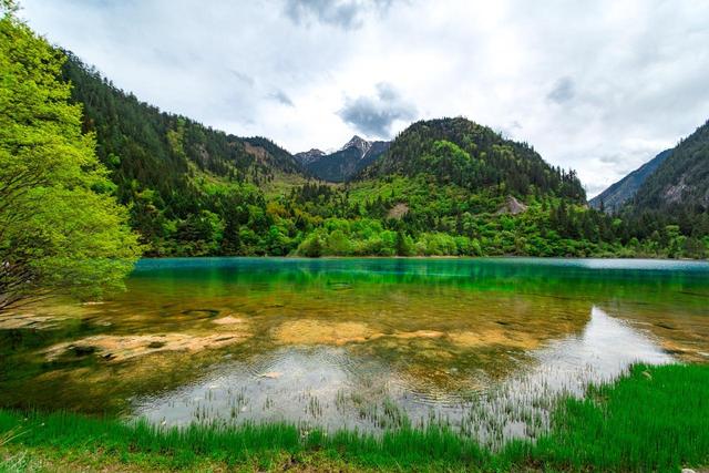 四川山水四绝：峨眉秀、青城幽、夔门险、剑门雄，你去过几个？
